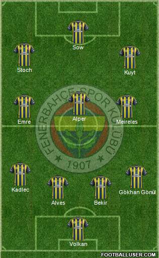 Fenerbahçe SK Formation 2013