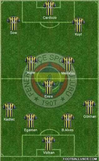 Fenerbahçe SK Formation 2013