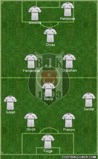 Besiktas JK Formation 2013