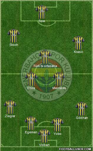 Fenerbahçe SK Formation 2013