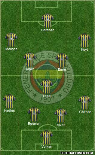 Fenerbahçe SK Formation 2013