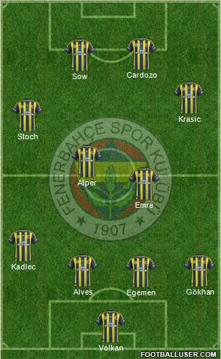 Fenerbahçe SK Formation 2013
