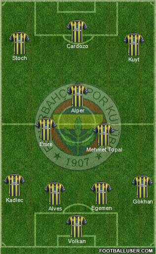 Fenerbahçe SK Formation 2013