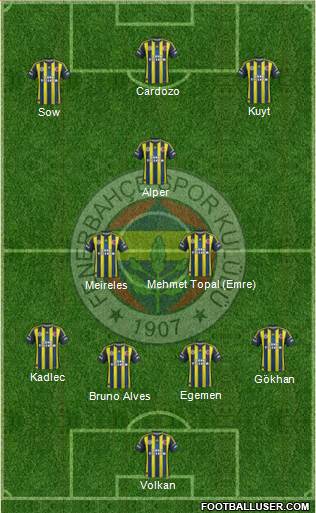 Fenerbahçe SK Formation 2013