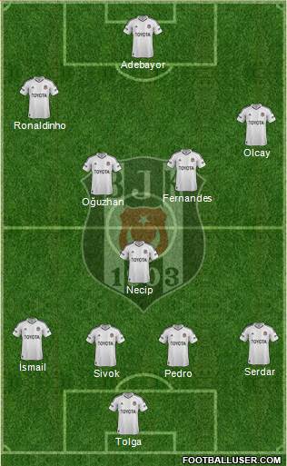 Besiktas JK Formation 2013