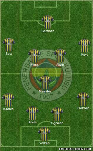 Fenerbahçe SK Formation 2013