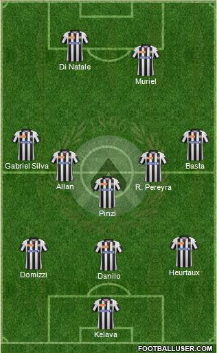 Udinese Formation 2013