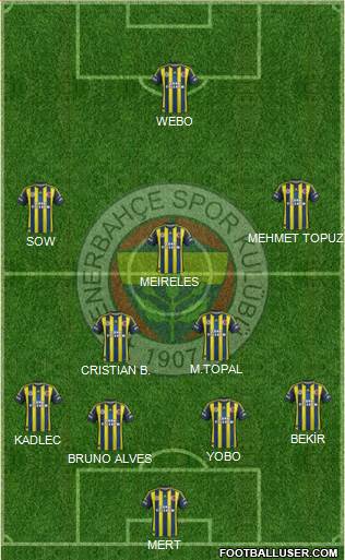 Fenerbahçe SK Formation 2013
