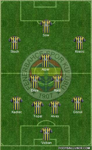 Fenerbahçe SK Formation 2013