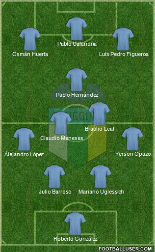 CD O'Higgins de Rancagua S.A.D.P. Formation 2013