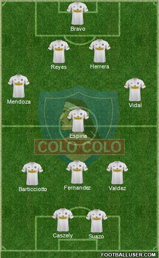 CSD Colo Colo Formation 2013