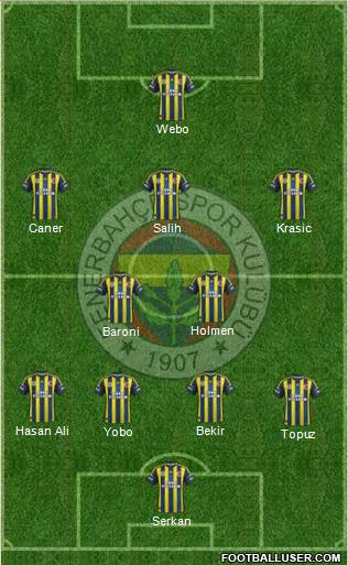 Fenerbahçe SK Formation 2013