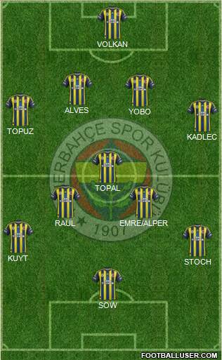 Fenerbahçe SK Formation 2013