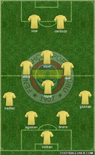 Fenerbahçe SK Formation 2013