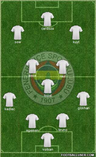 Fenerbahçe SK Formation 2013