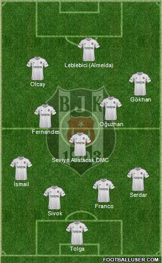 Besiktas JK Formation 2013