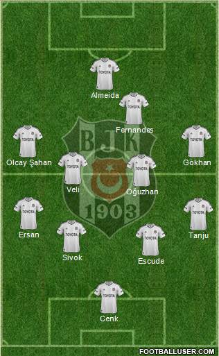 Besiktas JK Formation 2013