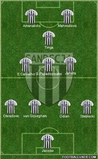 Sandecja Nowy Sacz Formation 2013
