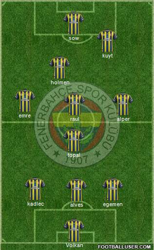 Fenerbahçe SK Formation 2013