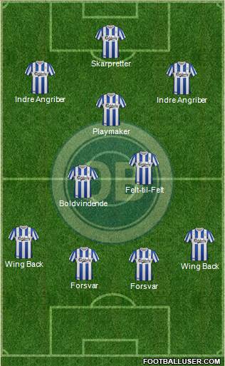 Odense Boldklub Formation 2013