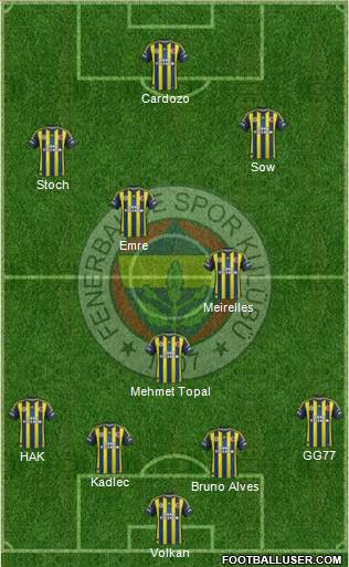 Fenerbahçe SK Formation 2013