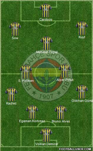 Fenerbahçe SK Formation 2013
