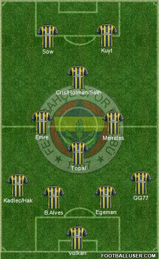 Fenerbahçe SK Formation 2013