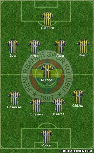 Fenerbahçe SK Formation 2013