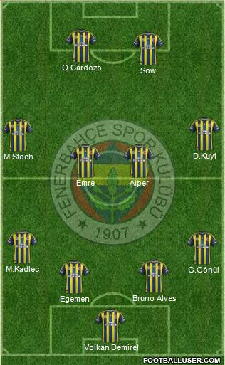 Fenerbahçe SK Formation 2013