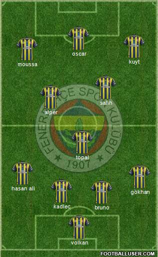 Fenerbahçe SK Formation 2013