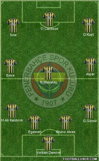 Fenerbahçe SK Formation 2013