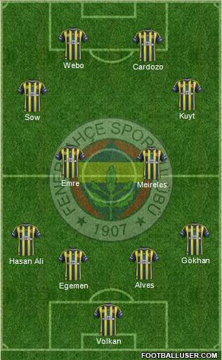 Fenerbahçe SK Formation 2013