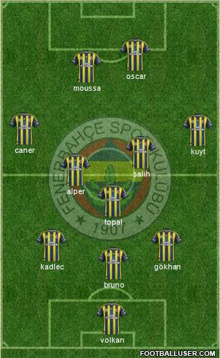 Fenerbahçe SK Formation 2013