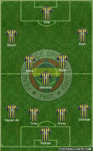 Fenerbahçe SK Formation 2013