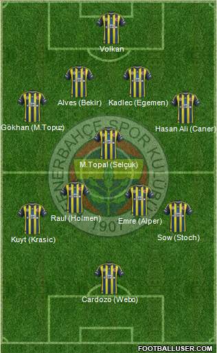 Fenerbahçe SK Formation 2013
