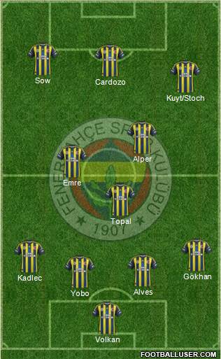 Fenerbahçe SK Formation 2013
