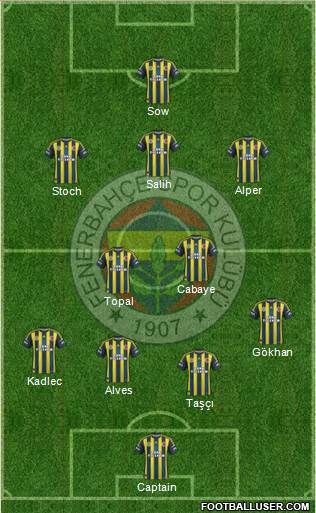 Fenerbahçe SK Formation 2013