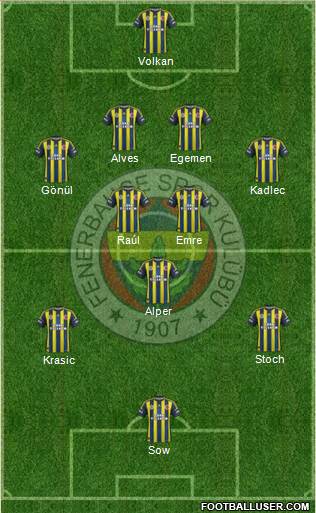 Fenerbahçe SK Formation 2013