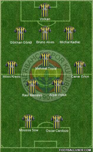 Fenerbahçe SK Formation 2013