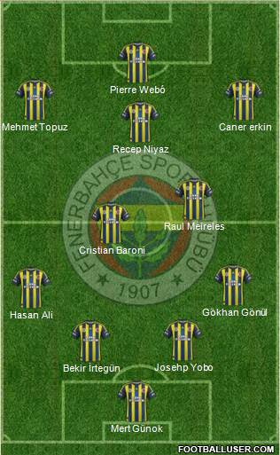 Fenerbahçe SK Formation 2013