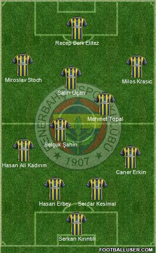 Fenerbahçe SK Formation 2013