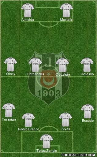 Besiktas JK Formation 2013