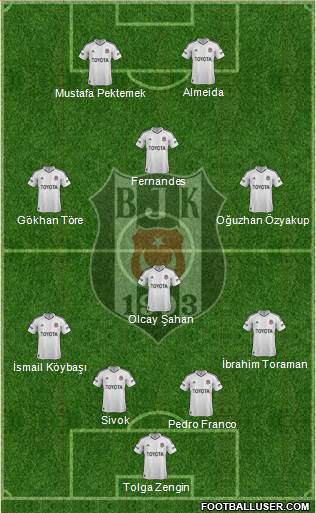 Besiktas JK Formation 2013