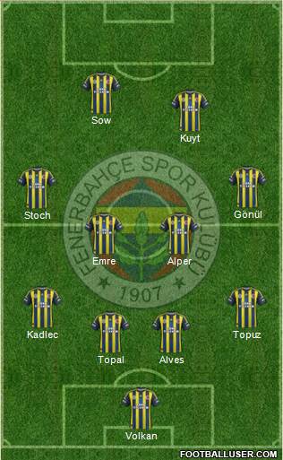 Fenerbahçe SK Formation 2013