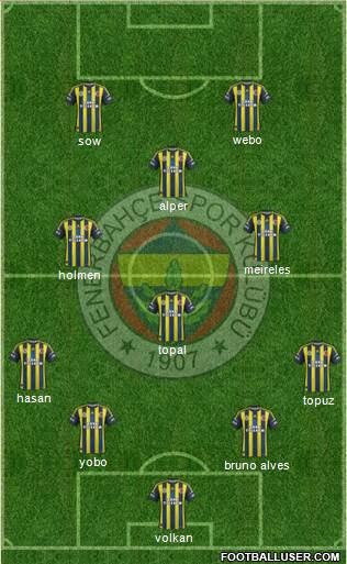 Fenerbahçe SK Formation 2013