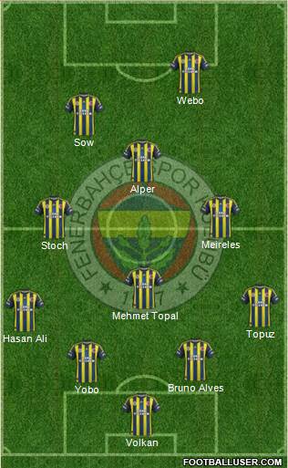 Fenerbahçe SK Formation 2013