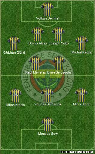 Fenerbahçe SK Formation 2013