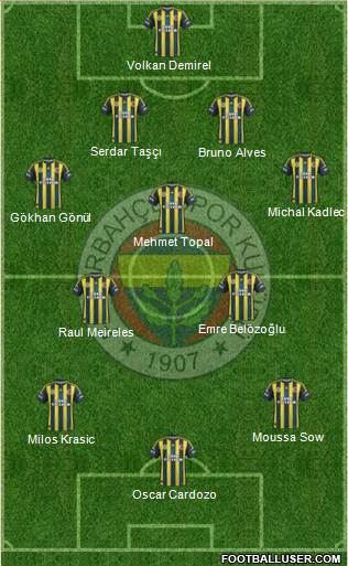 Fenerbahçe SK Formation 2013