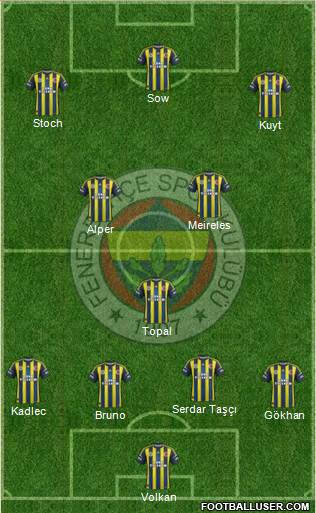 Fenerbahçe SK Formation 2013