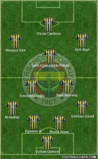 Fenerbahçe SK Formation 2013